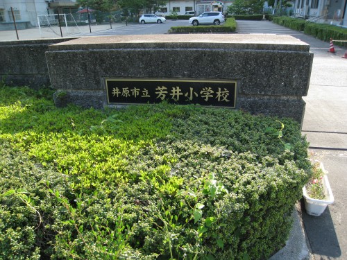 芳井小学校