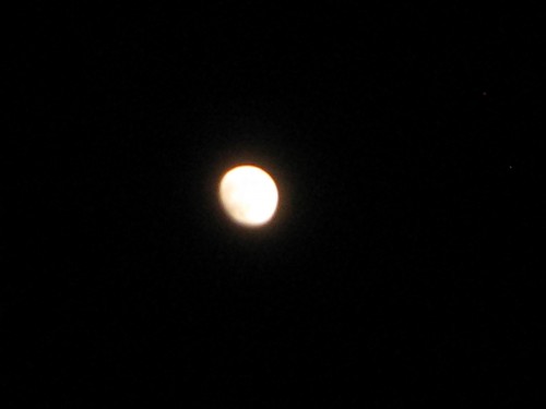 夜空のお月様