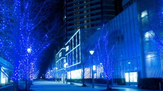 クリスマス間近だから！？ピカピカ光るイルミネーションが綺麗だな～井原駅周辺