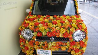 笠岡駅にお花が咲いた車を発見したぞ～！？不思議な光景・・・珍百景（Flower Art Car）