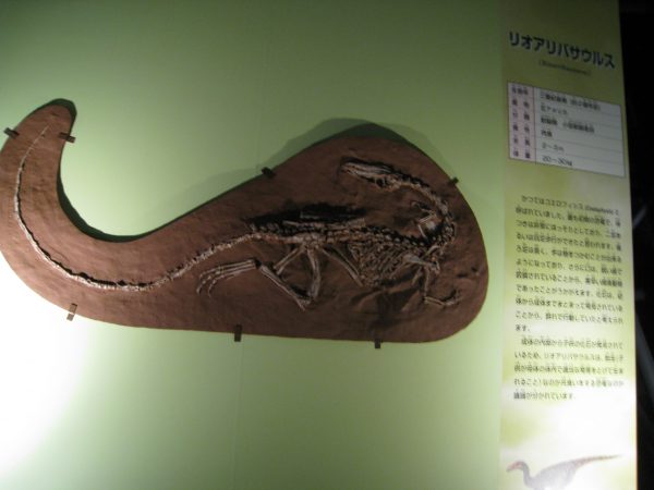 恐竜模型