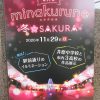 第17回 minakurune  ミナクルネ　冬のSAKURAが始まるよ～！！2020/11/29～復活【井原駅前通り】