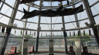 井原駅で見た光景にびっくり！！仰天ニュース　駅構内に謎の物体が泳いでいた・・・【井原市】